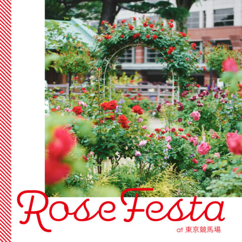 春の東京競馬場で「ローズフェスタ」を開催します！