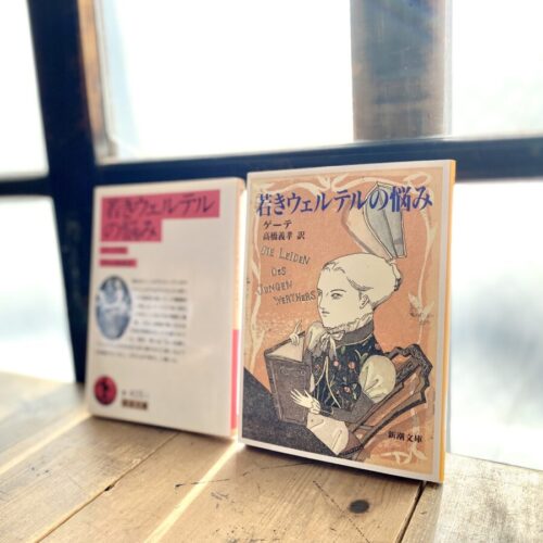 ドイツの文学 1 若きウェルテルの悩み ゲッツ・フォン